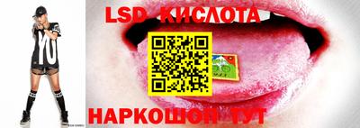 apvp Изобильный