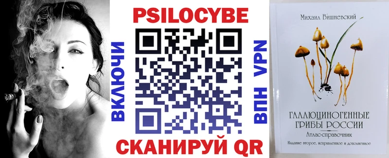 Псилоцибиновые грибы Psilocybine cubensis  Нижнекамск 