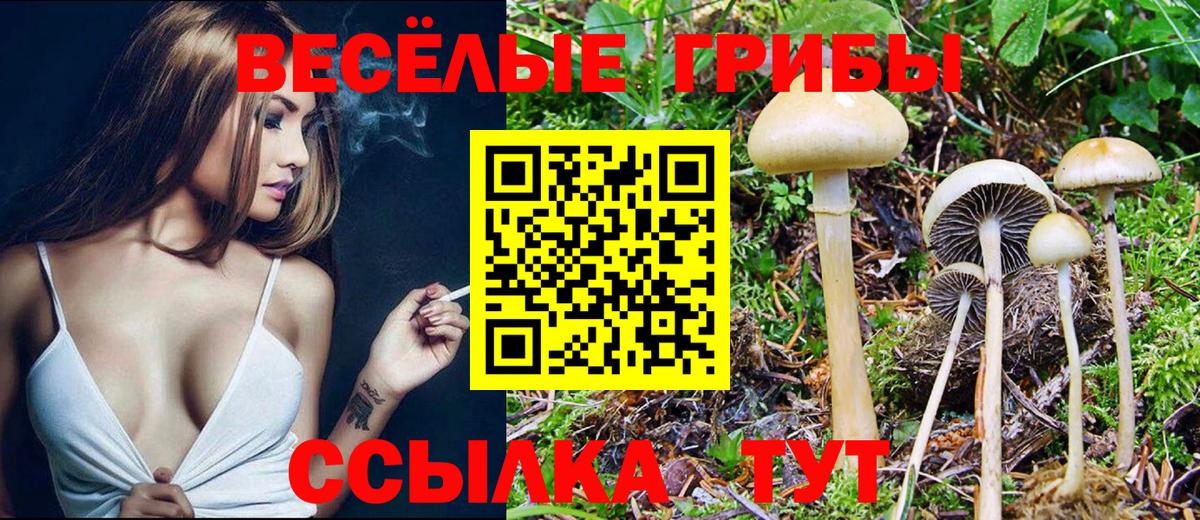 купить наркоту  Вход с VPN  Нижнекамск  Псилоцибиновые грибы мухоморы 