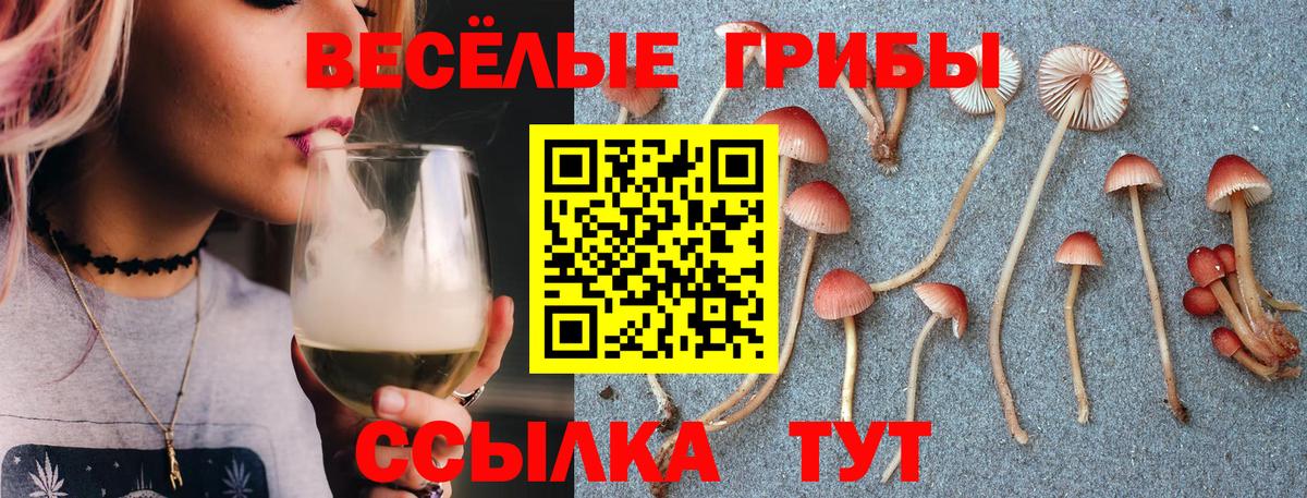 Псилоцибиновые грибы мицелий Нижнекамск